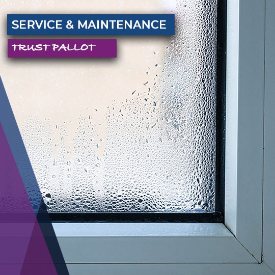 Featured image for “Service & Maintenance: Trust Pallot”